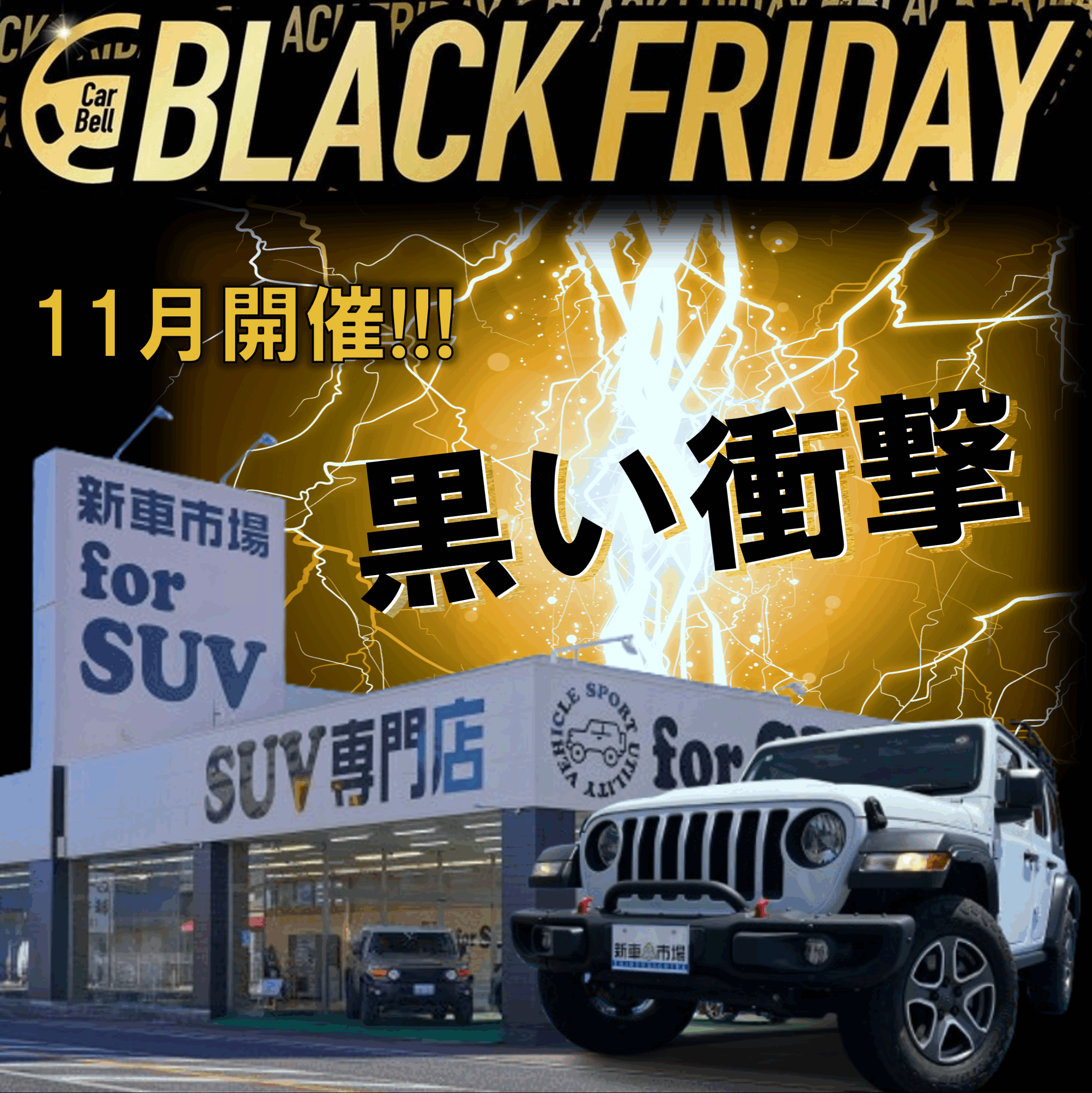 11月ブラックフライデー開催🎪